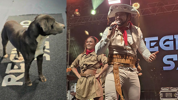 Leia mais sobre o artigo Cachorro sobe ao palco após locutor anuncia o cantor